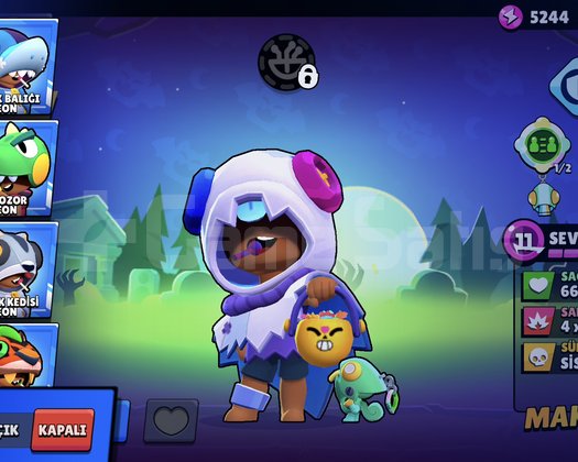 YILDIZ SHELLY + 300 KOSTÜM + 5 BRAWL PASS