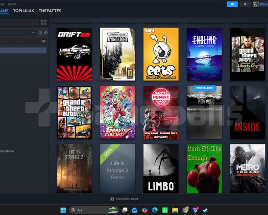 gzel steam hesabı kelepır kacırma
