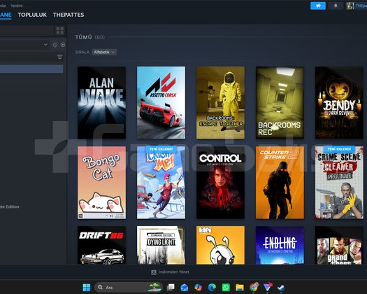 gzel steam hesabı kelepır kacırma