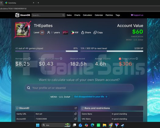 gzel steam hesabı kelepır kacırma