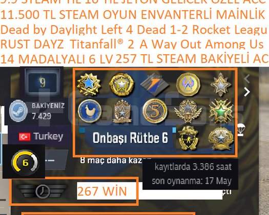 14 MADALYALI 6 LV RUST DAYZ Titanfall 2 A Way Out