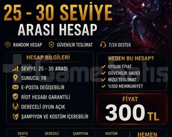 TR 25 30 SEVİYE ARASI HESAP