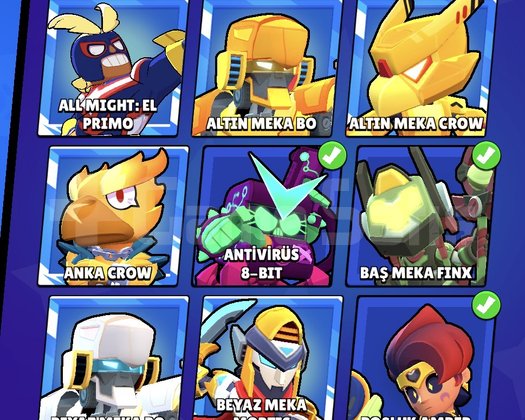 66000+ KUPA 50+ MAX