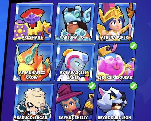 66000+ KUPA 50+ MAX