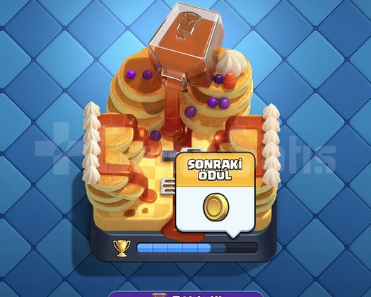 8K Clash Royale Hesabı