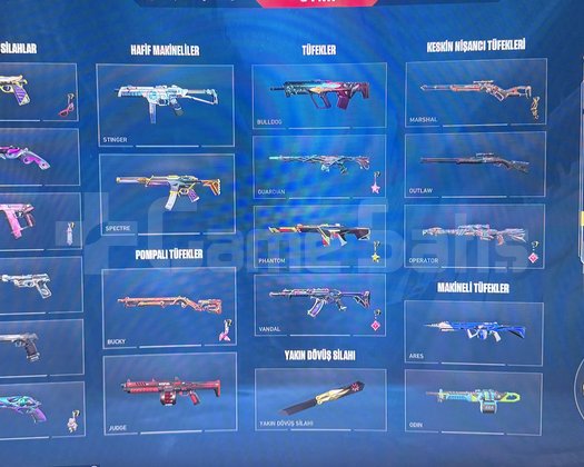 İmmo 1 Bol skinli hesap