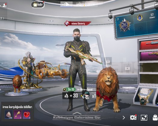 7 seviye klan dahil