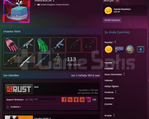 RUST +1740 SAAT +84 SKİN İLK MAİL
