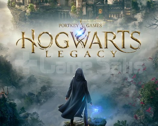 HOGWARTS LEGACY PS4/PS5 + GARANTİ