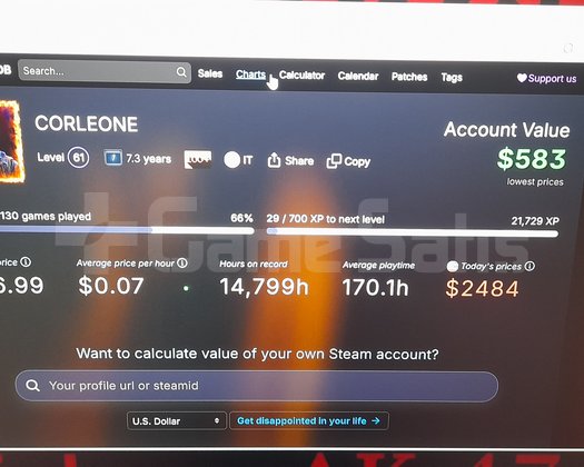 61 SEVİYE VE 7 BUÇUK YILLIK STEAM HESABI SATLIK