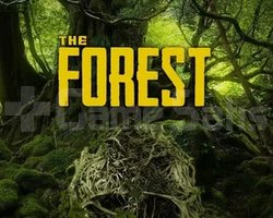 The Forest