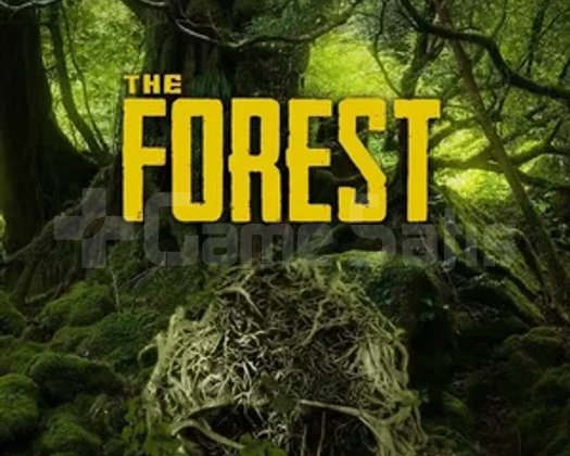 The Forest