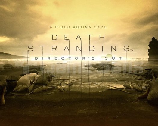 DEATH STRANDING DIRECTORS CUT
