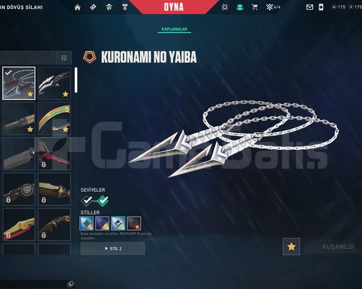 SAĞLAM DOPDOLU MAİNLİK HESAP DETAYLAR AÇIKLAMADA