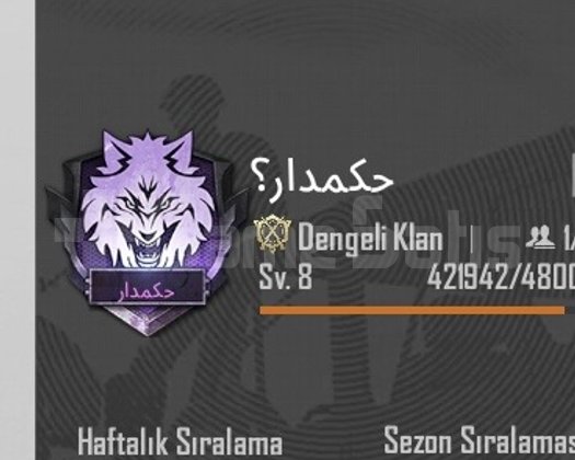 8.9SV KLAN İSİM AKTİF ANLIK TESLİM