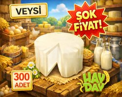KAMPANYA 300 keçi peyniri