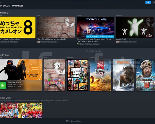 Temiz Steam Hesabı | Uyguna Devrediyorum