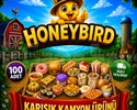 KARIŞIK ÜRÜN  100 ADET  KAMPANYALI ÜRÜN