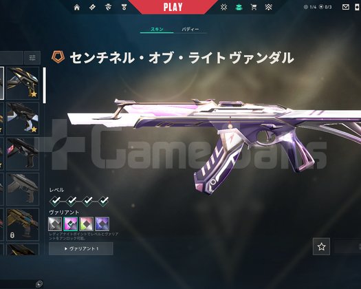 HAYDUT KORUYUCU SET DOLU