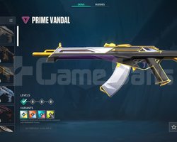 TR + MAİL + İYİLİĞİ PAYLAŞ SETİ + UNRANKED!