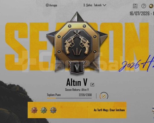 TEK BAĞ !! ALTIN V + 2x ID KARTI ++