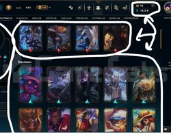 229 LEVEL / 58 SKİN / FUL HERO +MAİL +15K SATIŞ