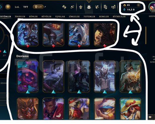229 LEVEL / 58 SKİN / FUL HERO +MAİL +15K SATIŞ