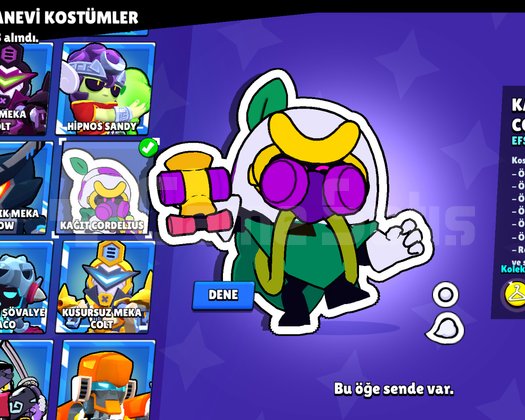 BRAWL STARSIN BÖYLESİ ABİ