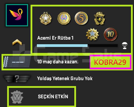 FACEİT+ 6 MADALYA 162 WİN 774 SAAT SEÇKİN HESAP