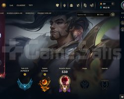 EUW / 251 LEVEL / PLAT ELO / HANDMADE / 233 SKIN