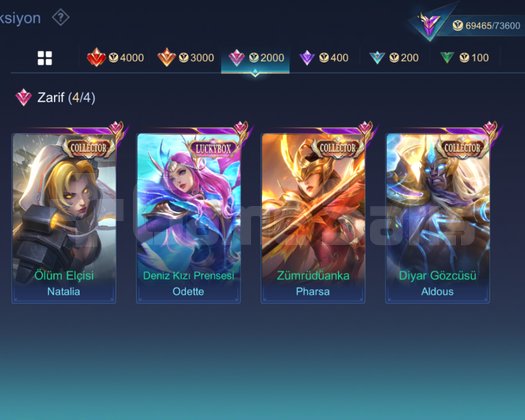 243 kostümlü mobile legends hesabı