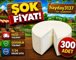 KAMPANYA 300 keçi peyniri