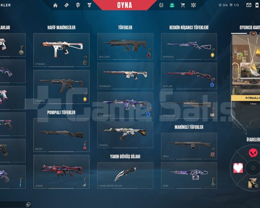 50-200 Skinli Valorant Random Hesap TR