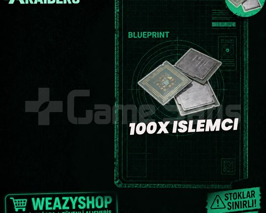 100X İŞLEMCİ ARC RAİDERS