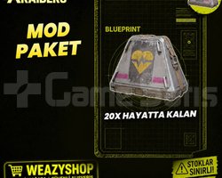 20X HAYATTA KALAN MOD ARC RAIDERS