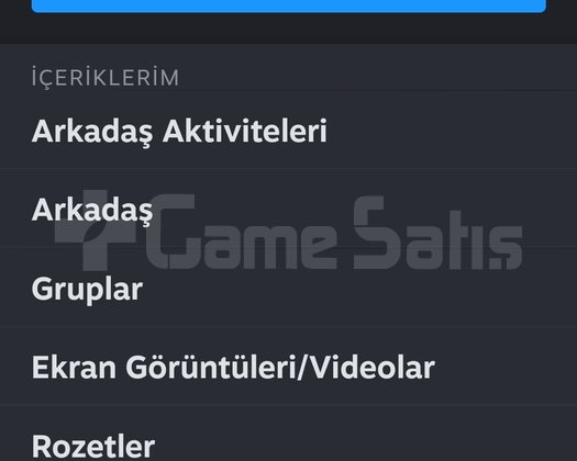 122 oyunlu 10 yıllık 20 seviye steam hesabı