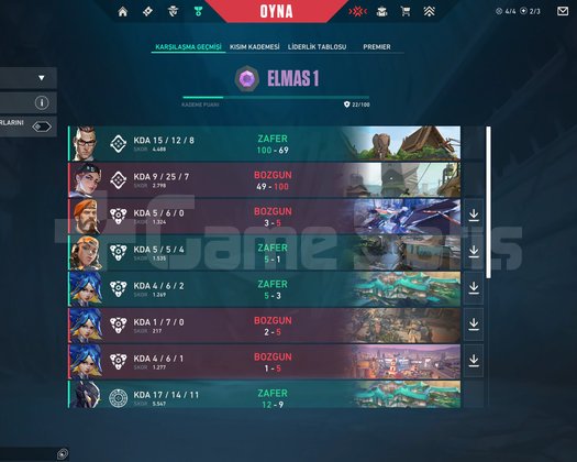 PEAK YÜCELİK  TEMİZ ÖMÜRLÜK HESAP