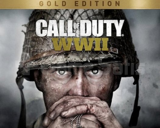 Call of Duty WWII Gold Edition PS5
