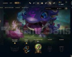EUW Unranked | 6 Kostüm - 61 Hero | LoL Hesap