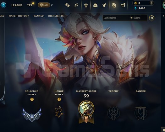 EUW Silver 2 | 1 Kostüm - 48 Hero | LoL Hesap