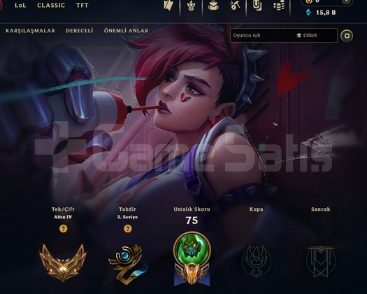 GOLD / 2021 KURULUM / BOL MAVİ ÖZ