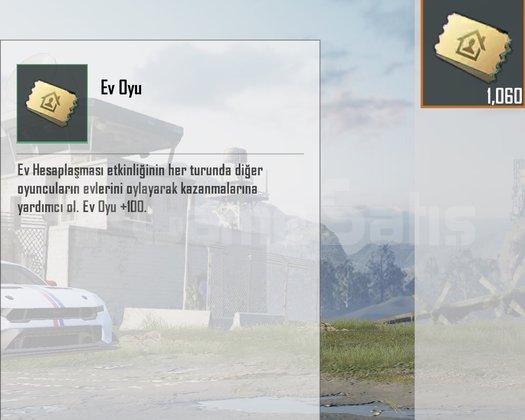 1060 EV OYU ANINDA TESLİMAT .
