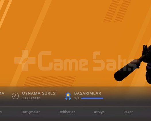 1683 saat 8 MADALYA CS2 HESABI