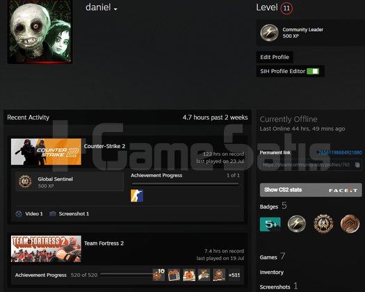 FACEIT 10 LEVEL | MAINLIK CS2 HESAP | PRIME