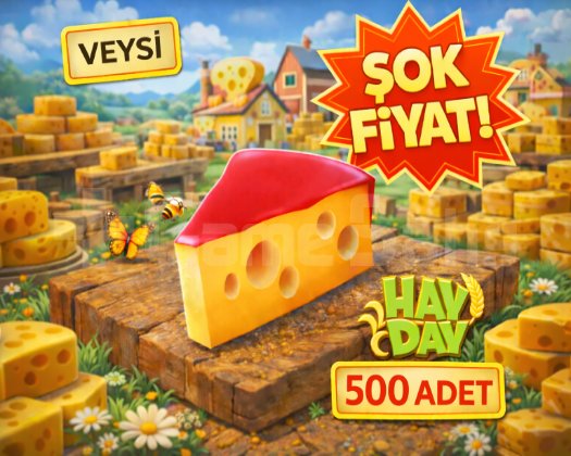 KAMPANYA 500 peynir