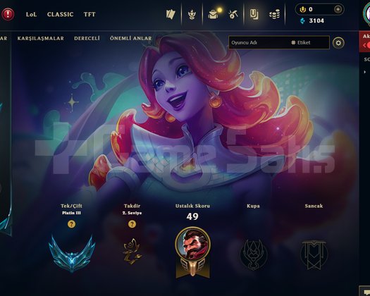 TR PLAT 3 +30 LP GAİN 36 SKIN