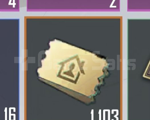PUBG 1013 EV OYU