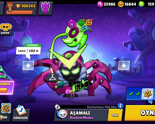 FULL+FULL MAX BRAWL STARS HESABI