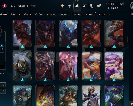 401 LVL + 144 KOSTÜM + 111 HERO + GÜMÜŞ 3 + MAİL!