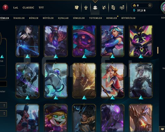 242 LVL + 155 KOSTÜM + 7 İHTİŞAMLI + TEL + MAİL!